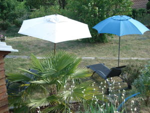 A l'ombre des parasols