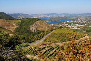 Vignoble et vallée du Rhône